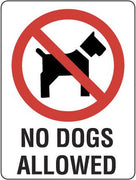 NO DOGS ALLOWED